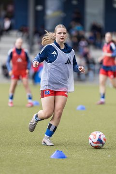 Bild 92 - wBJ Hamburger SV - FC Suederelbe : Ergebnis: 9:0